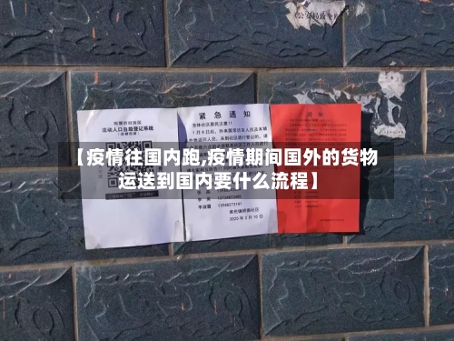 【疫情往国内跑,疫情期间国外的货物运送到国内要什么流程】