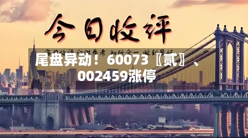 尾盘异动！60073〖贰〗、002459涨停