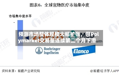 预测市场整体规模大幅扩张，但Polymarket交易量连续第二个月下滑-第2张图片