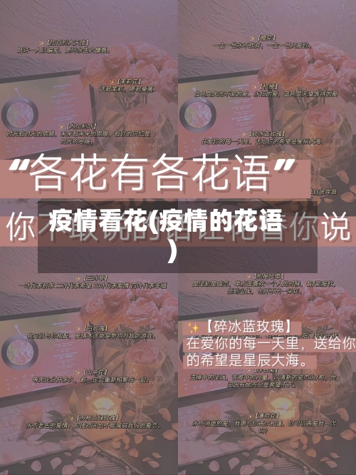 疫情看花(疫情的花语)