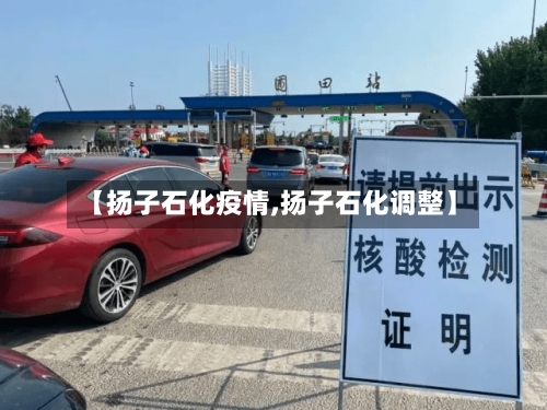 【扬子石化疫情,扬子石化调整】-第2张图片