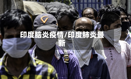 印度脑炎疫情/印度肺炎最新