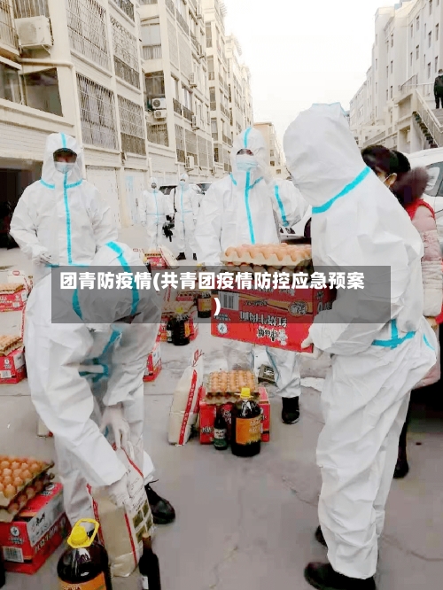 团青防疫情(共青团疫情防控应急预案)