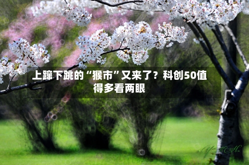 上蹿下跳的“猴市”又来了?科创50值得多看两眼