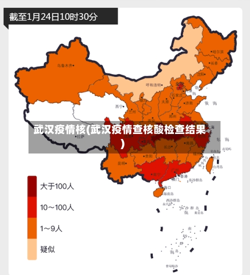 武汉疫情核(武汉疫情查核酸检查结果)