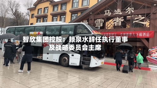 智欣集团控股:赖泉水辞任执行董事及战略委员会主席-第2张图片