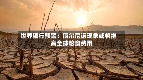 世界银行预警：厄尔尼诺现象或将推高全球粮食费用-第3张图片
