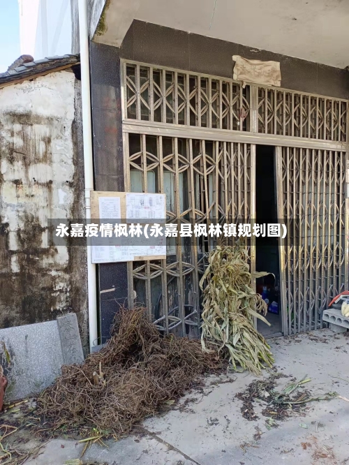 永嘉疫情枫林(永嘉县枫林镇规划图)