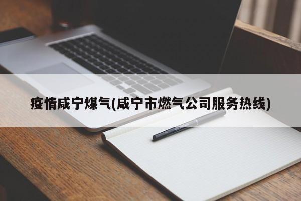 疫情咸宁煤气(咸宁市燃气公司服务热线)